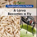 A Larva Becomes a Fly