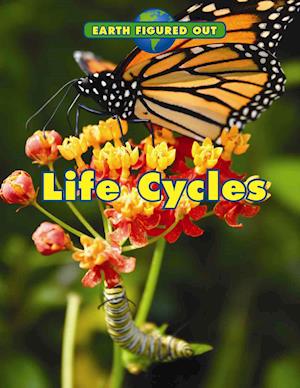 Life Cycles