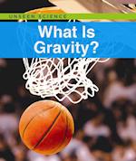What Is Gravity?