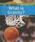 What Is Gravity?