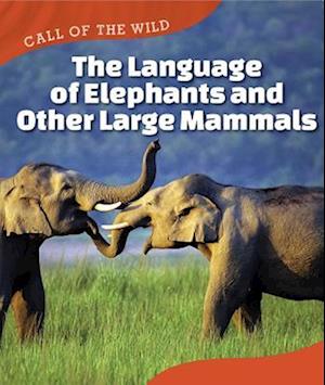 Language of Elephants and Other Large Mammals