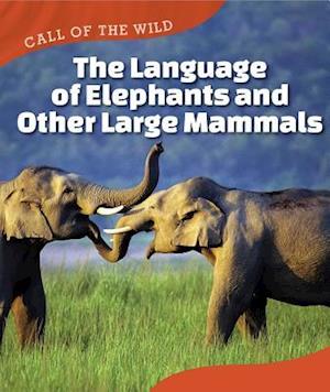 The Language of Elephants and Other Large Mammals