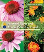 Perennial Plants and Annual Plants Explained