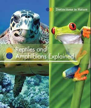 Reptiles and Amphibians Explained