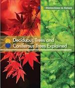 Deciduous Trees and Coniferous Trees Explained