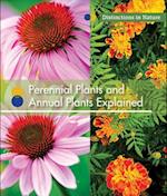 Perennial Plants and Annual Plants Explained