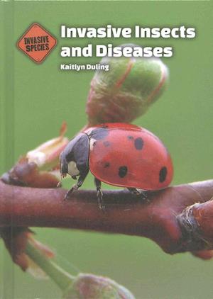 Invasive Insects and Diseases