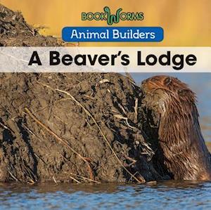 A Beaver's Lodge