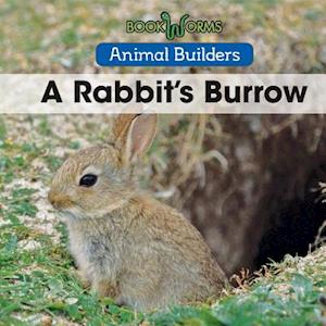 A Rabbit's Burrow