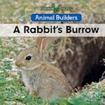 Rabbit's Burrow