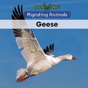 Geese