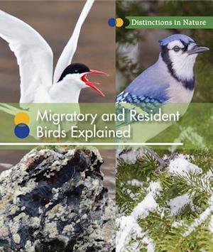 Migratory and Resident Birds Explained