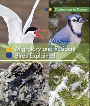 Migratory and Resident Birds Explained