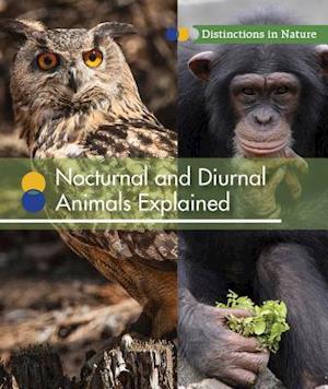 Nocturnal and Diurnal Animals Explained