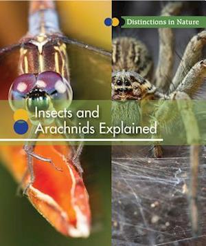 Insects and Arachnids Explained