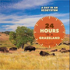 24 Hours in a Grassland