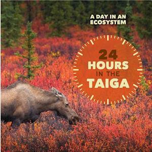24 Hours in the Taiga