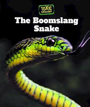 The Boomslang Snake