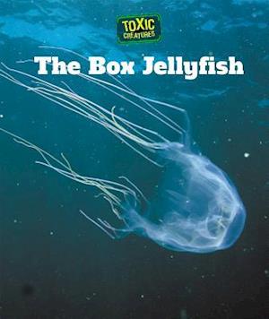 The Box Jellyfish