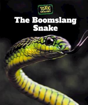 The Boomslang Snake