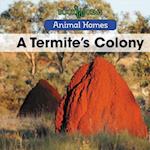 A Termite's Colony
