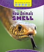 How Animals Smell