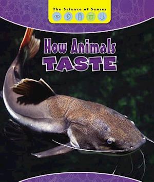 How Animals Taste