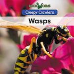 Wasps