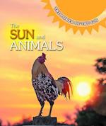 The Sun and Animals