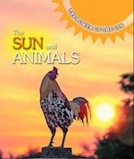 Sun and Animals