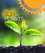 Sun and Plants