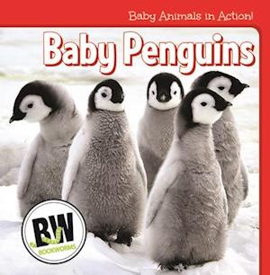 Baby Penguins