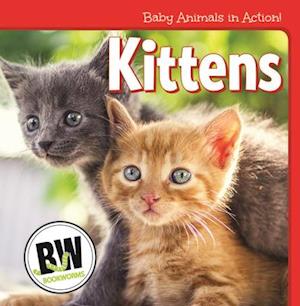 Kittens