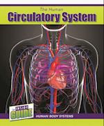 The Human Circulatory System