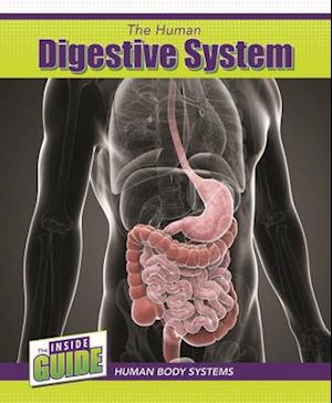 The Human Digestive System