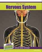 The Human Nervous System