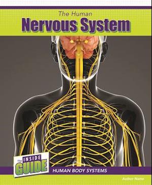 The Human Nervous System