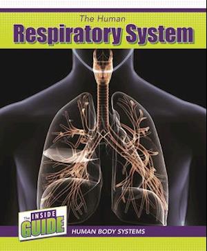 The Human Respiratory System