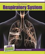 The Human Respiratory System