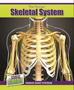 The Human Skeletal System