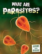 What Are Parasites?