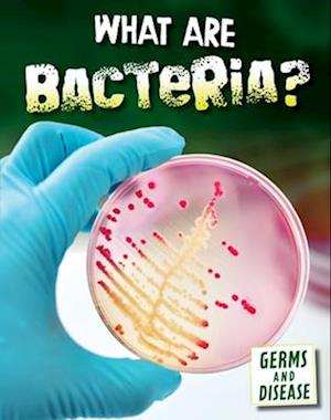 What Are Bacteria?