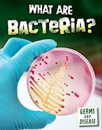 What Are Bacteria?