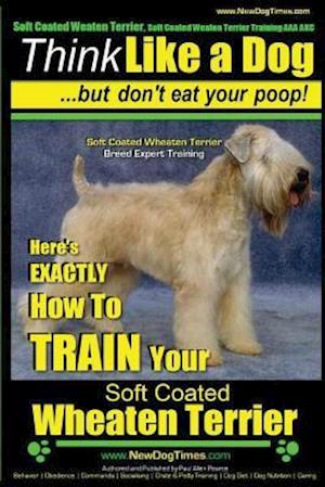 Soft Coated Wheaten Terrier, Soft Coated Wheaten Terrier Training AAA AKC Think Like a Dog But Don't Eat Your Poop! Soft Coated Wheaten Terrier Breed