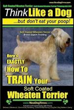 Soft Coated Wheaten Terrier, Soft Coated Wheaten Terrier Training AAA AKC Think Like a Dog But Don't Eat Your Poop! Soft Coated Wheaten Terrier Breed