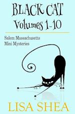 Black Cat Vols. 1-10 - The Salem Massachusetts Mini Mysteries