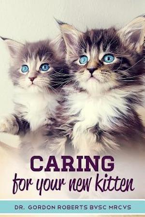 Caring for Your New Kitten