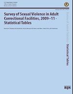 Survey of Sexual Violence in Adult Correctional Facilities, 2009-11-Statistical Tables