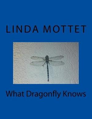 What Dragonfly Knows