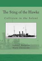 The Sting of the Hawke: Collision in the Solent 